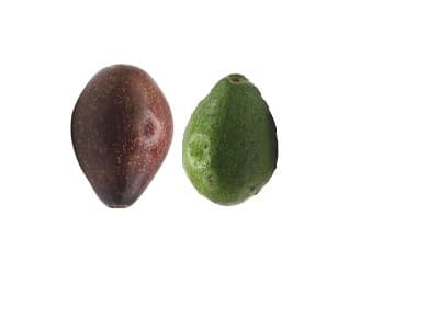 Simba Avocados